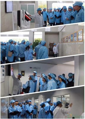 聚享綠色能源，共筑智能未來——SMA揚中工廠開放日活動圓滿落幕