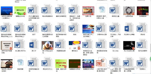 權健團隊建設與教育培訓資源全攻略